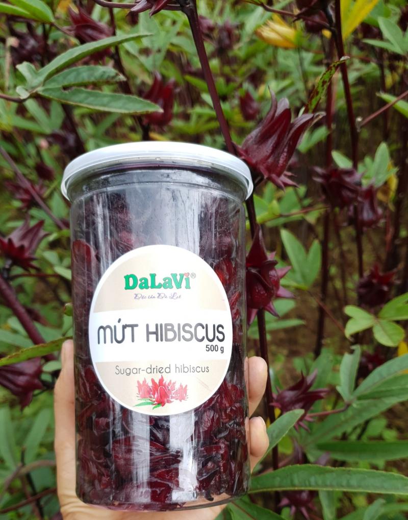 Hồng treo tại Dalavi