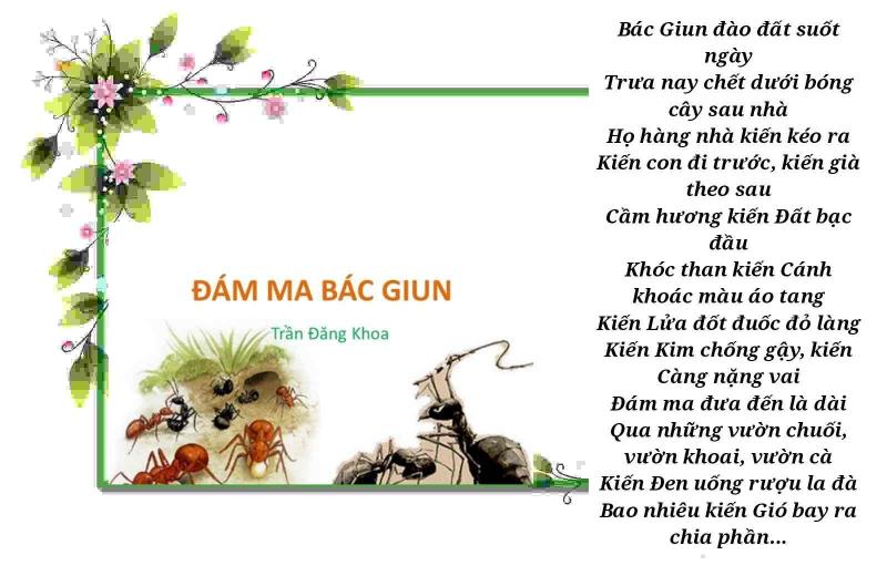 Đám ma bác giun