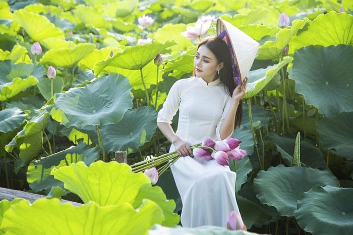 Đầm sen khu du lịch Đầm Long