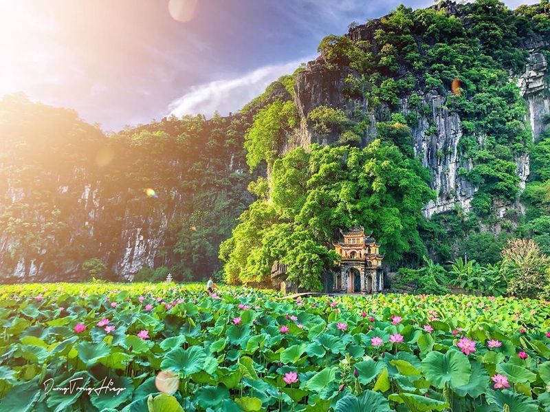 Đầm sen Tam Cốc - Bích Động