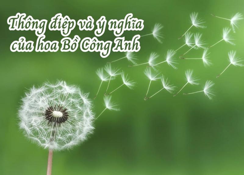 Hình minh hoạ