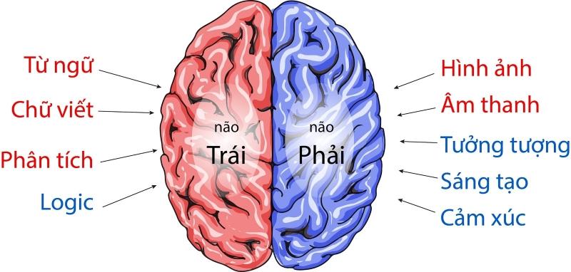 Ảnh minh họa (Nguồn Internet)