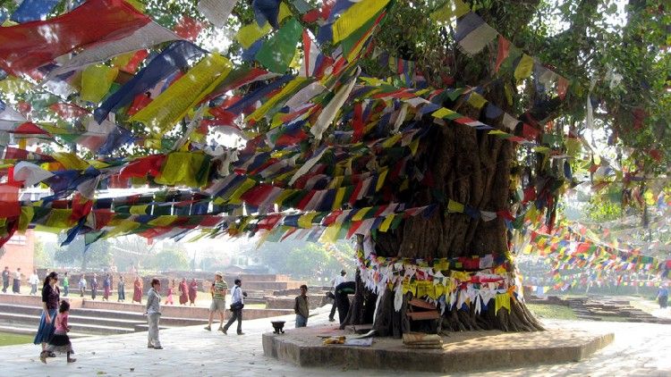 Vườn Lâm Tỳ Ni đã được UNESCO công nhận là di sản văn hóa Thế giới vào năm 1997