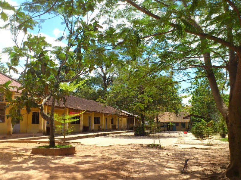 MỘT THỜI HOA PHƯỢNG ĐỎ