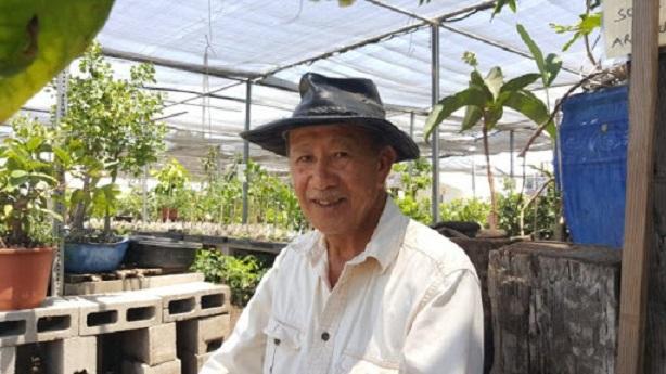 Ảnh minh họa (Nguồn internet)