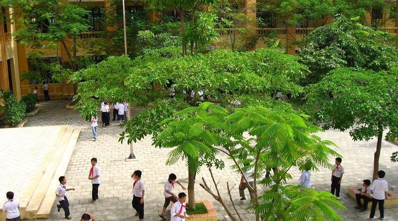 Dàn ý miêu tả ngôi trường của em