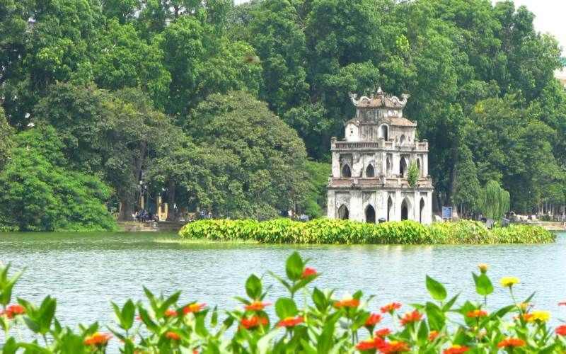 Ảnh minh họa (Nguồn internet)