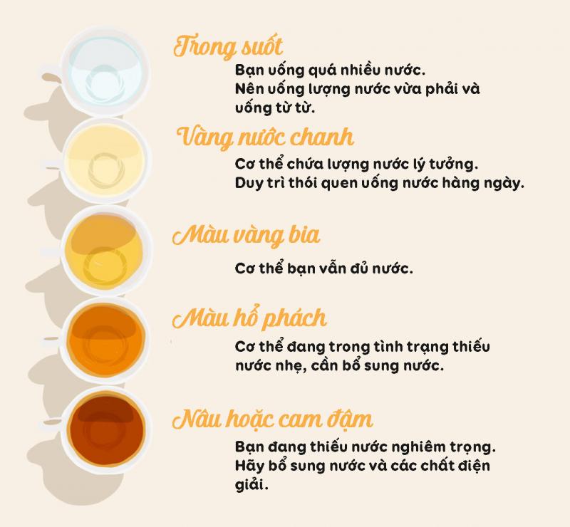 Đánh giá nhanh sức khỏe qua màu sắc nước tiểu