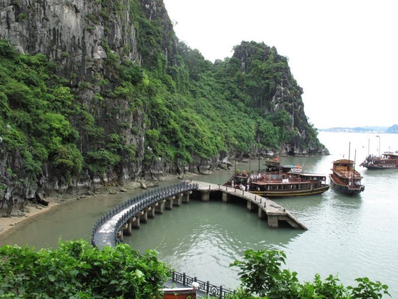 Đảo Đầu Gỗ