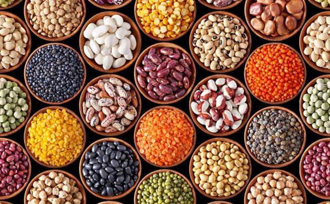 Đậu có nhiều chất xơ hòa tan rất tốt cho tim mạch.