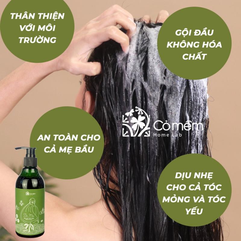 Dầu gội bồ kết Tóc Mây