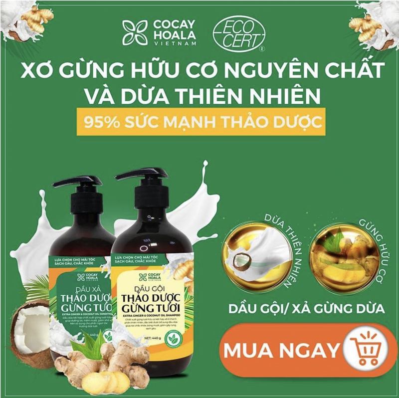 Dầu gội gừng COCAYHOALA ngăn rụng tóc, kích thích mọc tóc