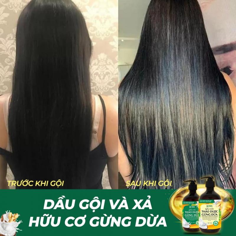 Dầu gội Thảo dược Gừng Dừa