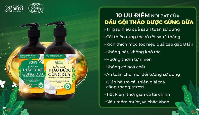 Dầu gội gừng hoàn toàn từ thiên nhiên, không gây kích ứng cho da đầu