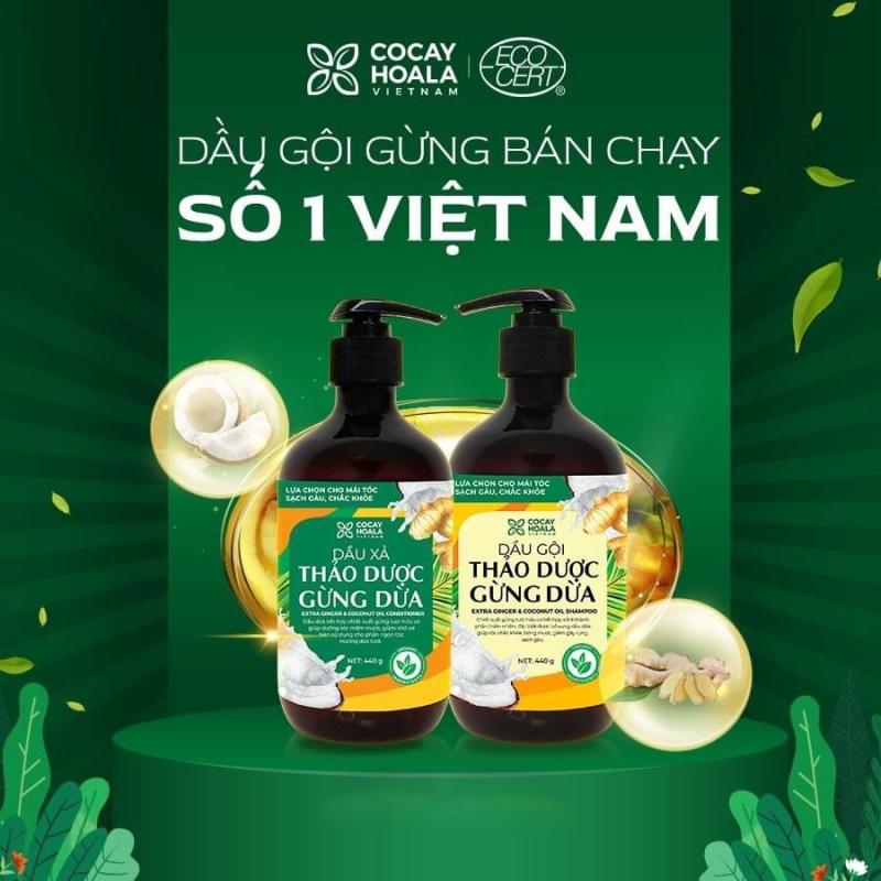Dầu gội gừng dừa hoàn toàn từ thiên nhiên, không gây kích ứng cho da đầu