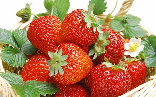 Dâu tây giúp kích thích sự thèm ăn và làm tăng nhu động của ruột.