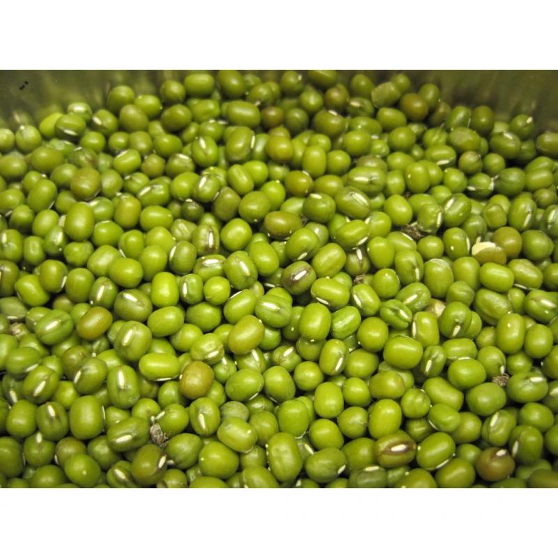 Đậu xanh chữa mất ngủ