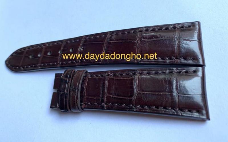 daydadongho.com