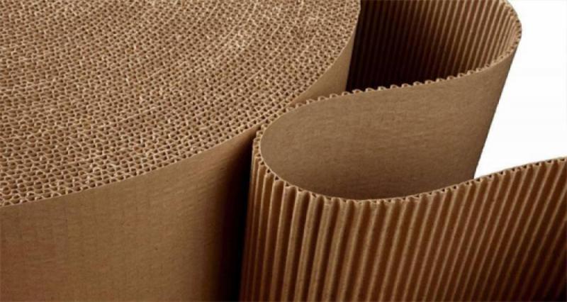 DDN Printing