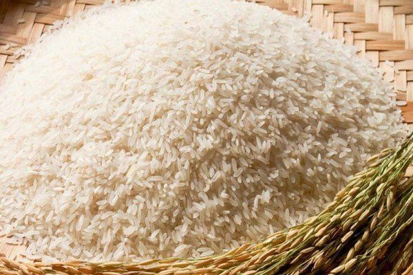 Gạo mốc khi để ngoài không khí ẩm là gạo thật