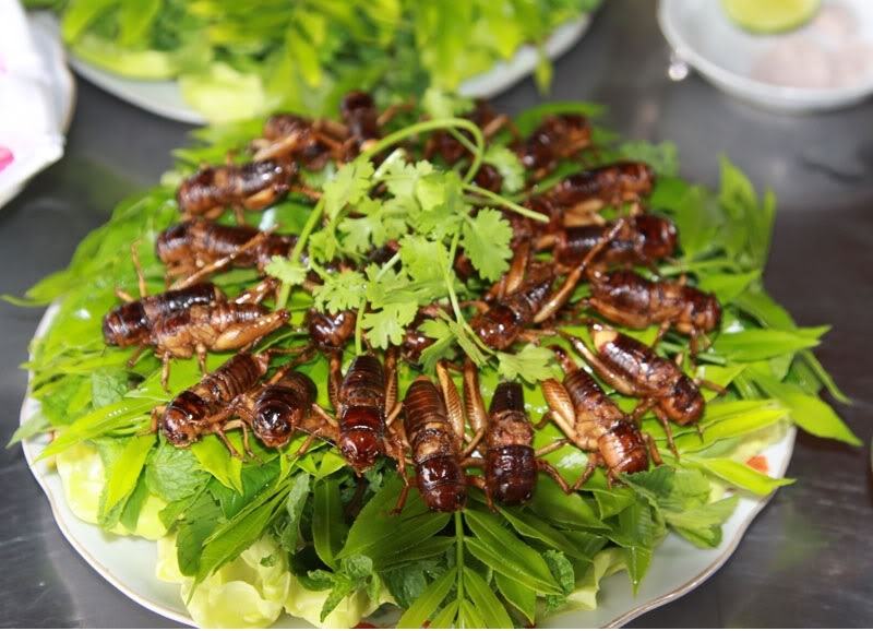 Dế mèn nướng