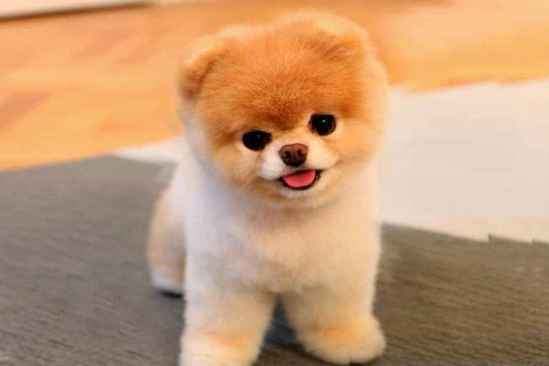 Cười cái là hớp hồn rùi