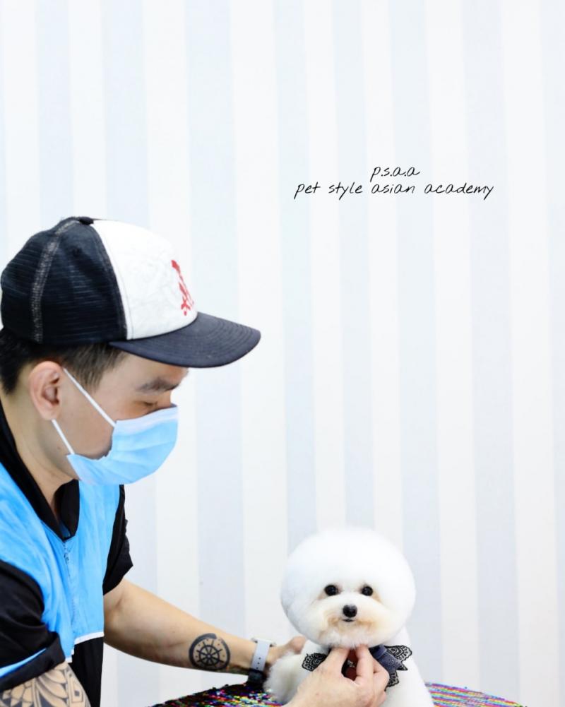 Dejay's Grooming