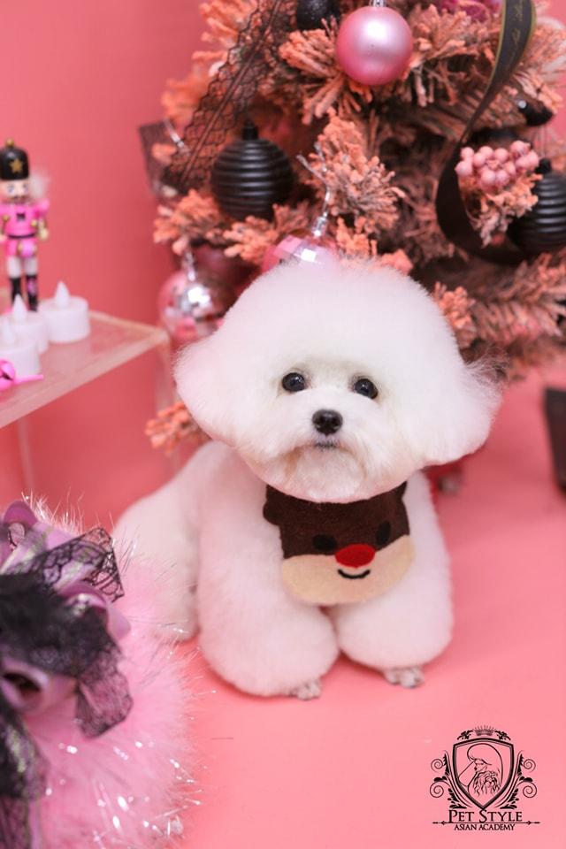 Dejay's Grooming
