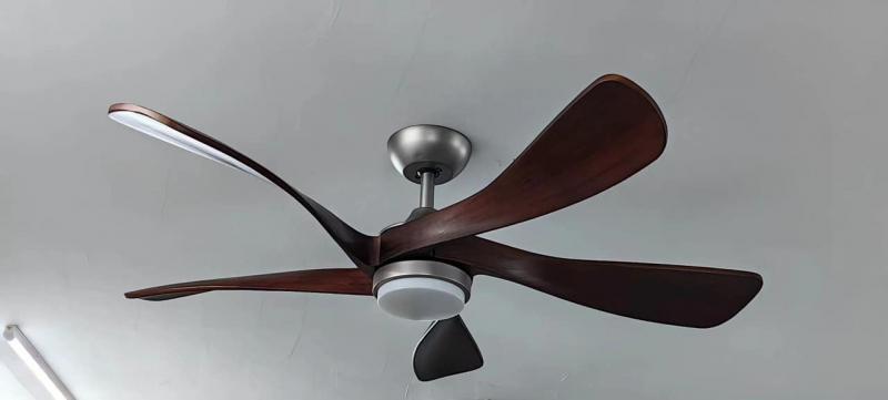 Đèn Trang Trí HomeLight