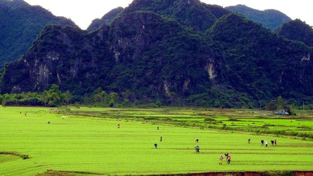 Cảnh đẹp thanh bình từ trên đèo Đá Đẽo
