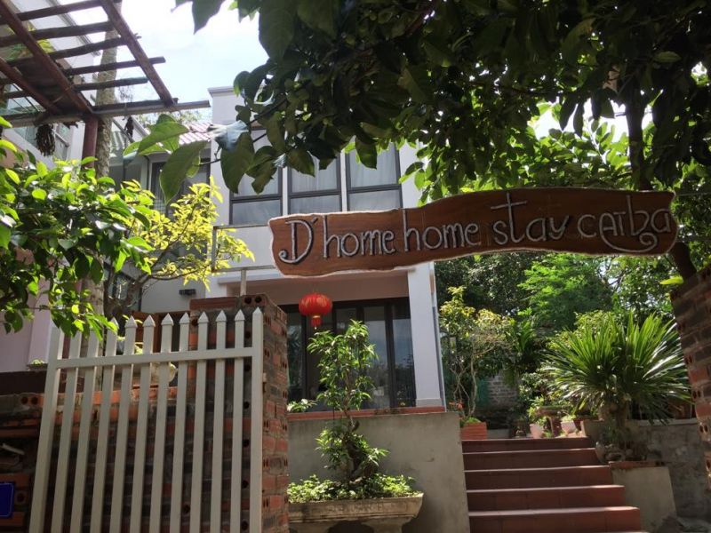 D'home Homestay Cát Bà