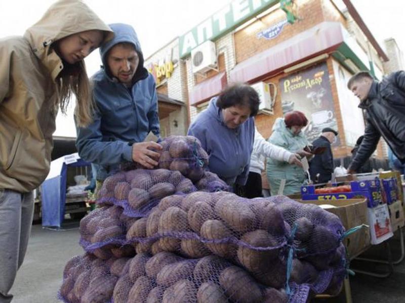 Chợ rau quả cuối tuần ở Ai Cập (Nguồn: Sưu tầm)