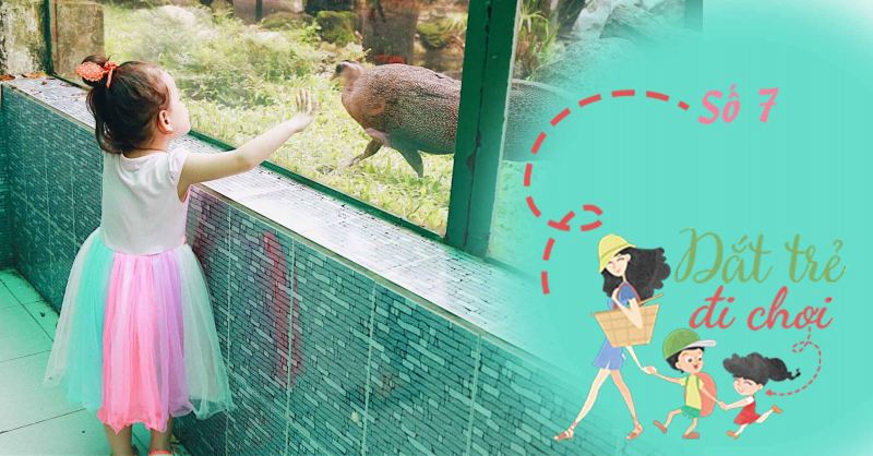 Đi chơi công viên hoặc thảo cầm viên