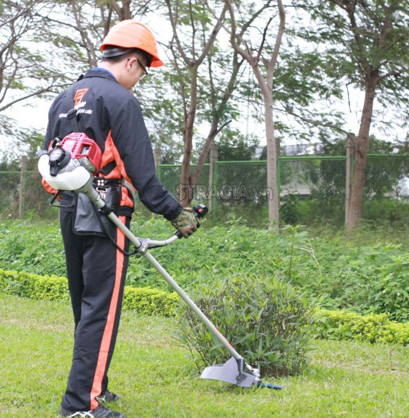 Ảnh minh họa (Nguồn Internet)
