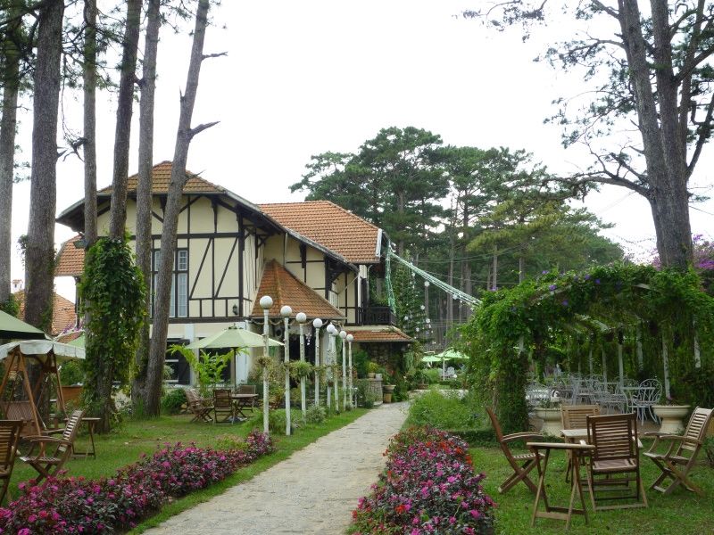 Màu tím đặc trưng của Cafe Hoa Violet ngày thứ 4