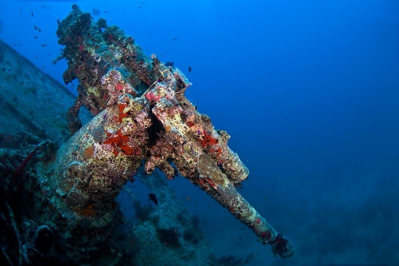 Tàu đắm cổ SS Thistlegorm