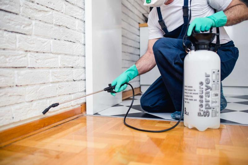 Công ty diệt côn trùng tỉnh Hà Tĩnh