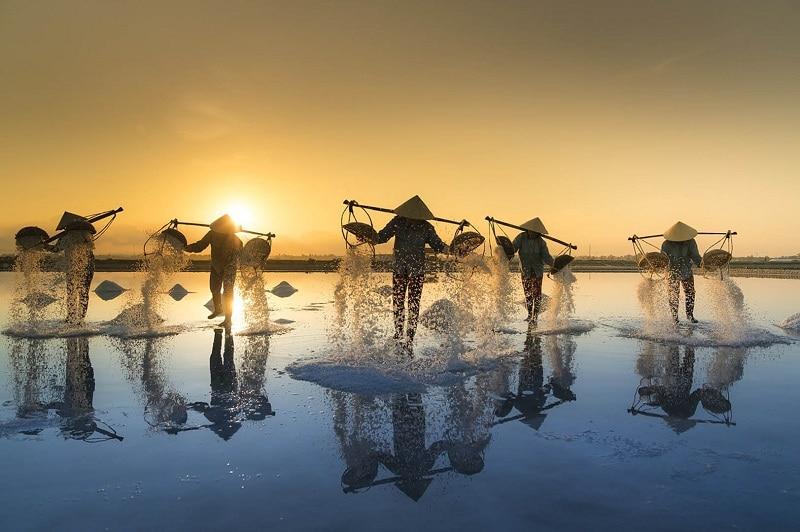 Công ty Cổ phần Du lịch Quảng Ngãi - Đức Lộc Travel