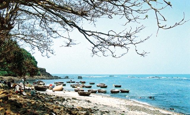 Công ty Cổ phần Du lịch Quảng Ngãi - Đức Lộc Travel