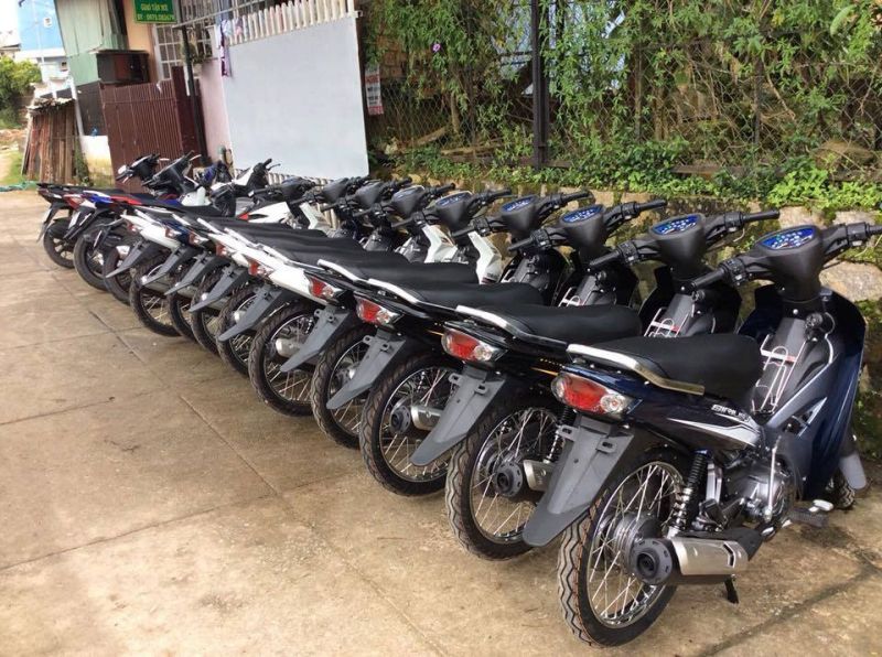 Dịch vụ Ngọc Anh