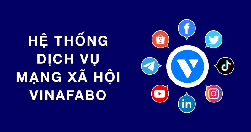 Dịch vụ tăng follow instargram của Vinafabo.com