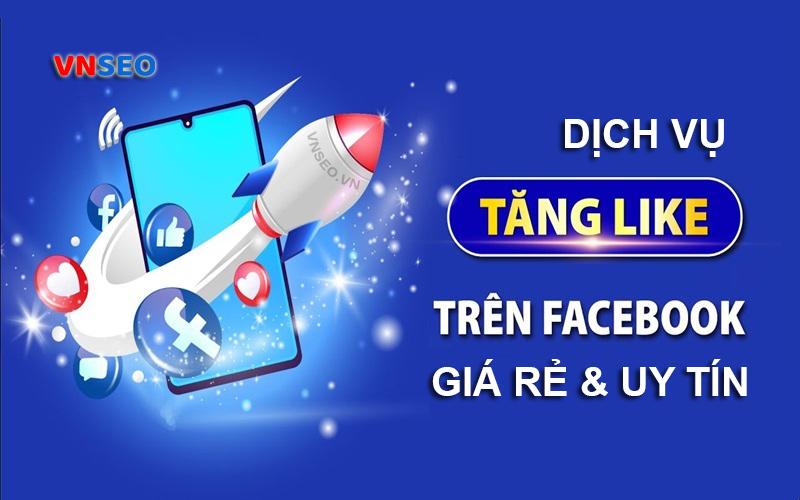 Dịch vụ tăng like Facebook của VNSEO