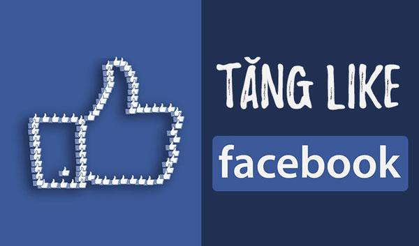 Dịch vụ tăng like Facebook MaiLike.xyz