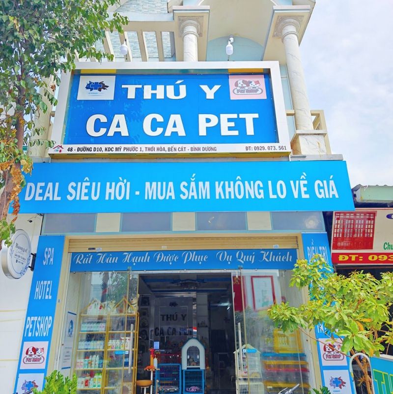 Thú Y Ca Ca Pet