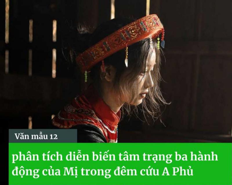 Diễn biến tâm trạng và hành động của Mị trong đêm cứu A Phủ bài số 2