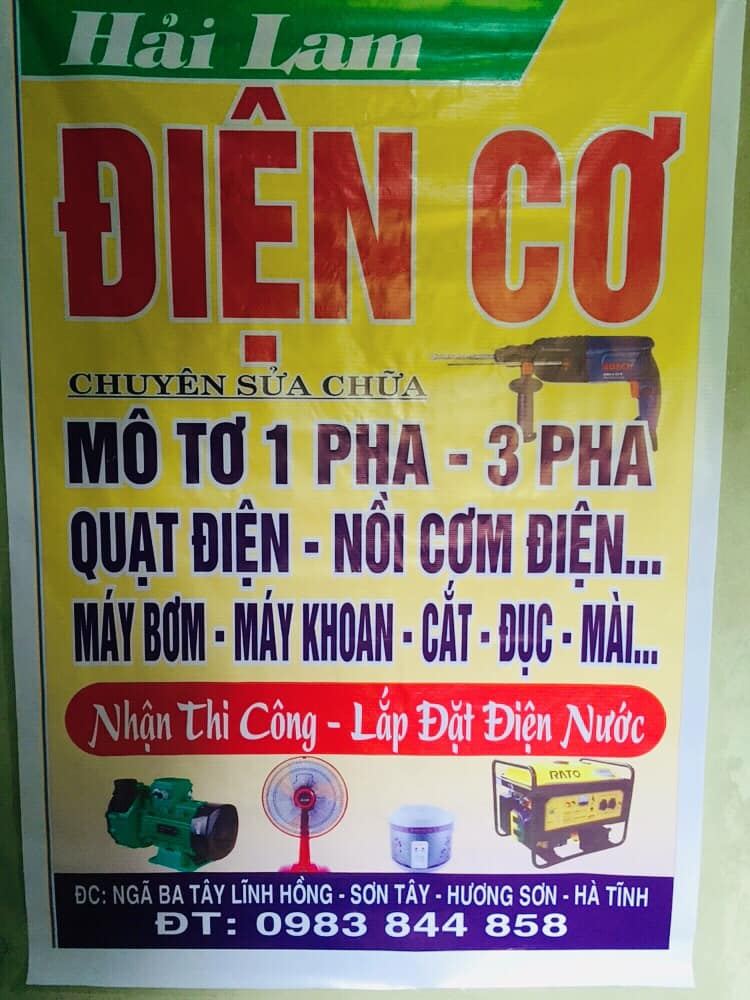 Điện Cơ Hải Lam