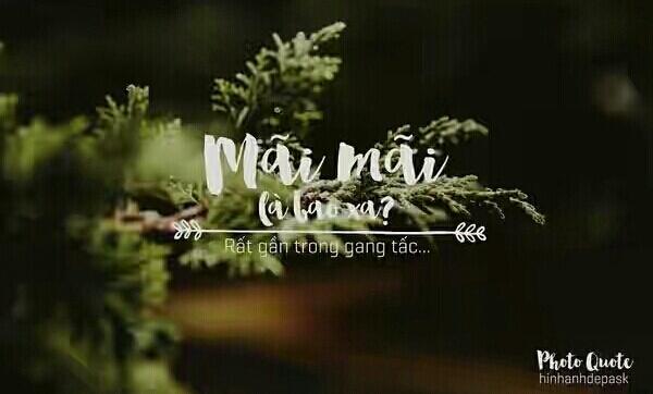Mãi mãi là bao xa - Diệp Lạc Vô Tâm