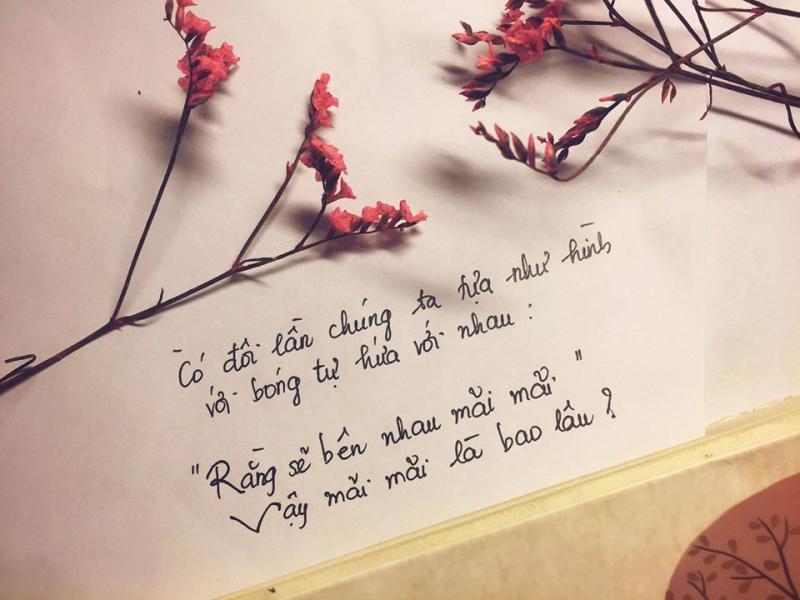 Diệp Lạc Vô Tâm