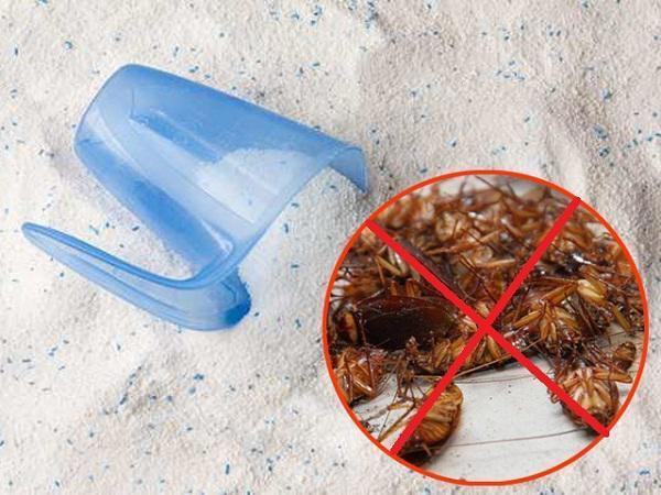 Diệt gián bằng nước xà phòng