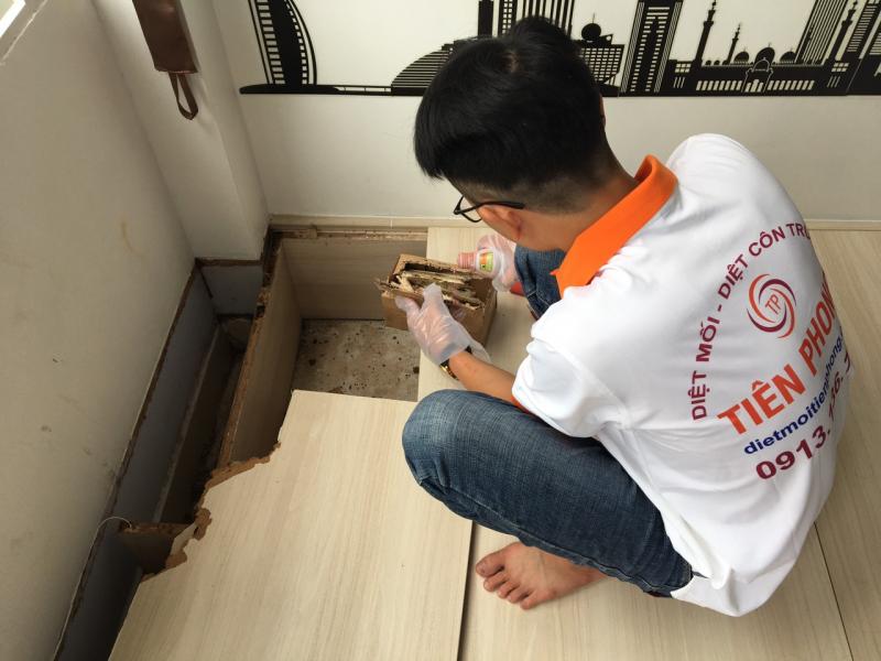 Công Ty Diệt Mối Tiên Phong Pest Control